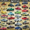 Eurographics - Pick Up Evolution - 1000 piece jigsaw puzzle Clearance