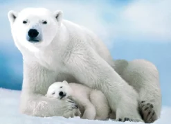 Eurographics - Polar Bear & Baby - 1000 Piece Jigsaw Puzzle Discount