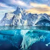 Eurographics - Save our Panet Collection - Arctic - 1000 Piece Jigsaw Puzzle Clearance