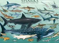Eurographics - Shraks - 1000 Piece Jigsaw Puzzle Clearance