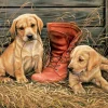 Eurographics 8000-0795 Something Old, Something New - 1000 Piece Jigsaw Puzzle Online