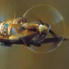 Eurographics - Spitfire by Barrie AF Clark - 1000 Piece Jigsaw Puzzle Sale