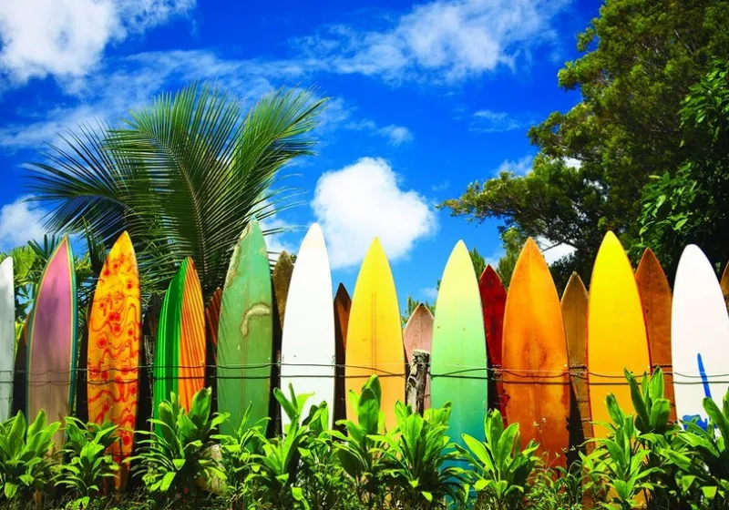 Eurographics - Surfer's Paradise Hawaii USA - 1000 Piece Jigsaw Puzzle Sale