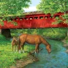 Eurographics - Sweet Water Bridge - 1000 Piece Jigsaw Puzzle Hot