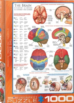 Eurographics - The Brain - 1000 piece jigsaw puzzle Best