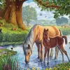 Eurographics - The Fell Ponies by Steve Crisp - 1000 Piece Jigsaw Puzzle Outlet