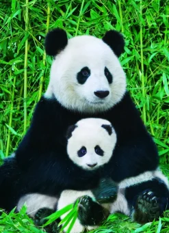 Eurographics - The Panda family - 1000 Piece Jigsaw Puzzle Outlet