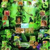Eurographics 6000-2790 The Tropical Rain Forest - 1000 Piece Jigsaw Puzzle New