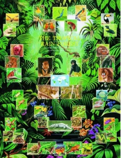 Eurographics 6000-2790 The Tropical Rain Forest - 1000 Piece Jigsaw Puzzle New