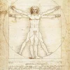 Eurographics - The Vitruvian Man by Leonardo da Vinci - 1000 Piece Jigsaw Puzzles Best