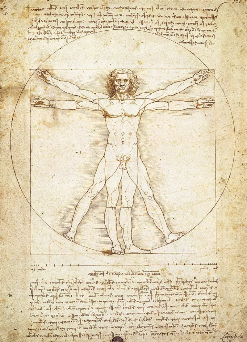 Eurographics - The Vitruvian Man by Leonardo da Vinci - 1000 Piece Jigsaw Puzzles Best