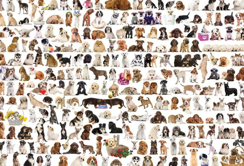 Eurographics - The World of Dogs - 2000 Piece Jigsaw Puzzle New