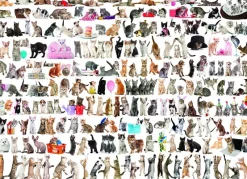 Eurographics - The World of Cats - 1000 piece jigsaw puzzle Online