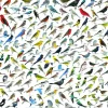 Eurographics - The World of Birds - 1000 Piece Jigsaw Puzzle Online