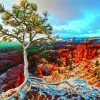 Eurographics - Winter Sunrise - 1000 piece jigsaw puzzle Online