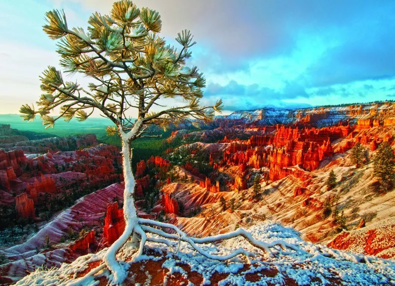 Eurographics - Winter Sunrise - 1000 piece jigsaw puzzle Online