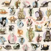 Eurographics - XXL Pieces - Familiy Puzzle: Yoga Kittens - 500 piece jigsaw puzzle Clearance