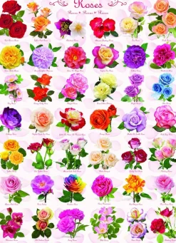 Eurographics Roses - 1000 Piece Jigsaw Puzzle Discount