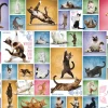 Eurographics - Yoga Cats - 1000 piece jigsaw puzzle Online