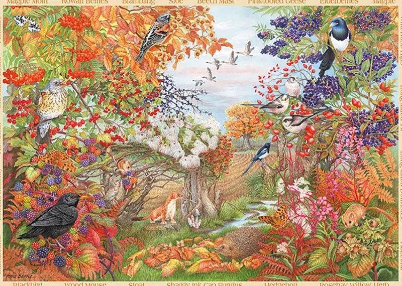 Falcon de luxe - Autumn Hedgerow - 500 Piece Jigsaw Puzzle Outlet