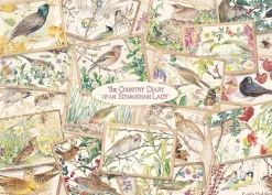 Falcon de luxe - Country Diary Postcards - 1000 Piece Jigsaw Puzzle Sale