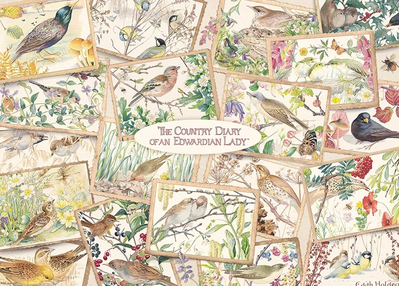 Falcon de luxe - Country Diary Postcards - 1000 Piece Jigsaw Puzzle Sale