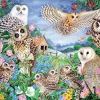 Falcon de luxe - Owls In The Wood - 1000 Piece Jigsaw Puzzle Best
