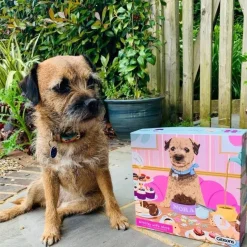 Gibsons - Nibbles with Nora - 1000 Piece Jigsaw Puzzle Discount