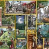 Gibsons - Nursery Rhymes Through Time - 1000 Piece Jigsaw Puzzle Fashion
