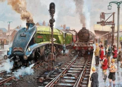 Gibsons - Spotters at Doncaster - 1000 Piece Jigsaw Puzzle Sale