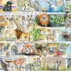 Gibsons - Sun Bears and Sloths - 1000 Piece Jigsaw Puzzle Online