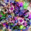 Grafika 01137 Butterflies New
