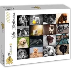 Grafika - Collage - Dogs - 1000 Piece Jigsaw Puzzle Outlet