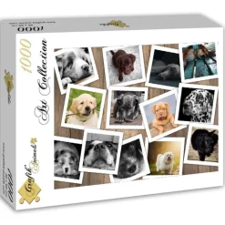 Grafika 00380 Dogs - 1000 Piece Jigsaw Puzzle Fashion