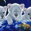 Grafika - Schim Schimmel - Secret, Mystery and Hope - 1500 Piece Jigsaw Puzzle Best