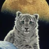 Grafika - Schim Schimmel - Moon Leopard - 1000 Piece Jigsaw Puzzle Online