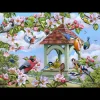House of Puzzles HOP - All Of A Twitter - BIG 250 Piece Jigsaw Puzzle Outlet