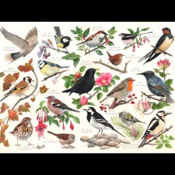 House of Puzzles HOP - Birds In My Garden - 1000 Piece Jigsaw Puzzle Sale