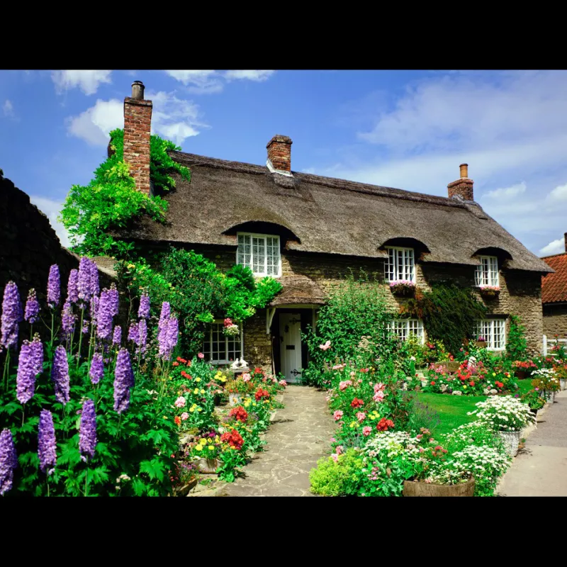 House of Puzzles HOP - Delightful Dales - 1000 Piece Jigsaw Puzzle Sale