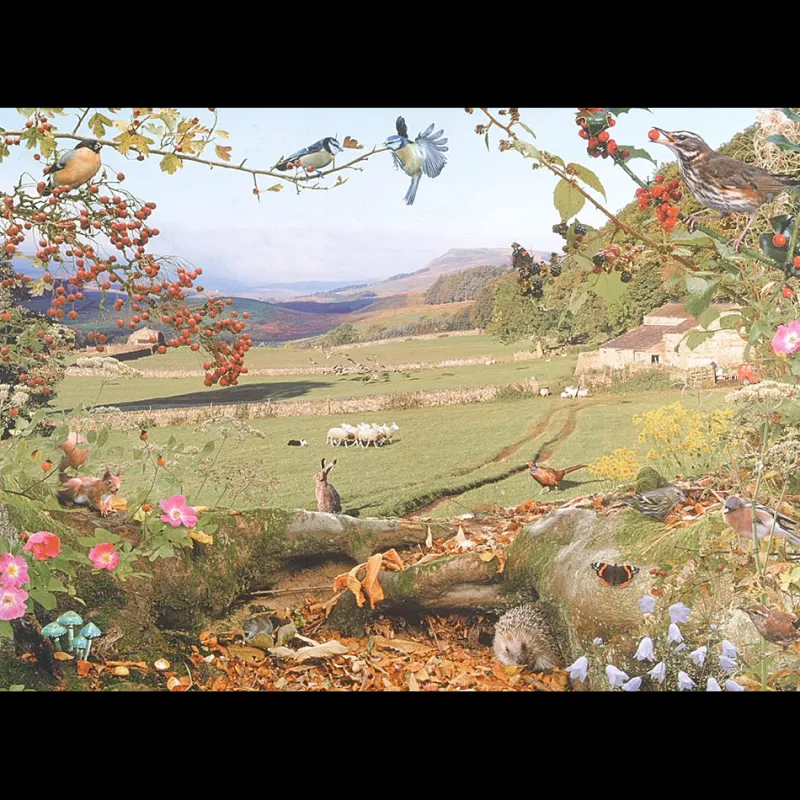 House of Puzzles HOP - Down In The Valley - 1000 Piece Jigsaw Puzzle Outlet