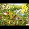House of Puzzles HOP - Ducks To Water - BIG 500 Piece Jigsaw Puzzle Online
