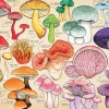 House of Puzzles HOP - Mushroom Mania - 1000 Piece Outlet