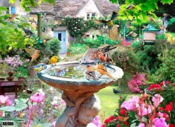 House of Puzzles HOP - Summer Birds - 1000 Piece New