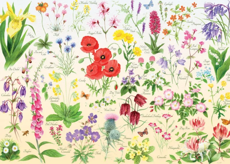 House of Puzzles HOP - Wildflowers - 1000 Piece Best