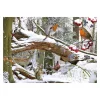 House of Puzzles HOP - Winter Wood - 500 Piece Jigsaw Puzzle Hot
