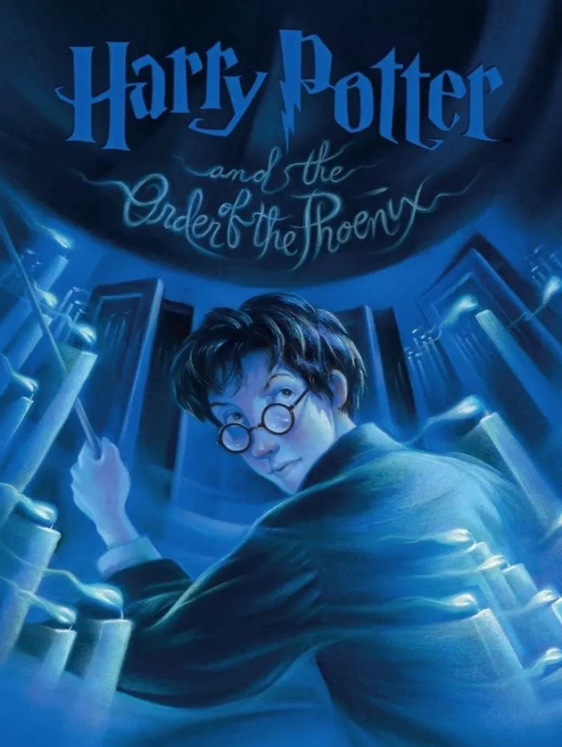 New York Puzzle Company - Harry Potter and the Order of the Phoenix - 1000 Piece Jigsaw Puzzle Clearance