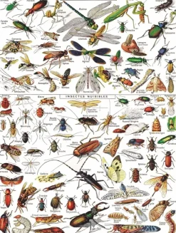 New York Puzzle Company - Vintage Images - Insects - 1000 Piece Jigsaw Puzzle Clearance
