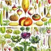 New York Puzzle Company - Vintage Images - Vegetables - 1000 Piece Jigsaw Puzzle Fashion