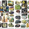 New York Puzzle Company - Minerals & Gems - 1000 Piece Jigsaw Puzzle Best