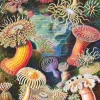 New York Puzzle Company - Vintage Images - Sea Anemones - 1000 Piece Jigsaw Puzzle Best